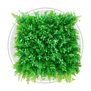 گرین وال دیجی دزار