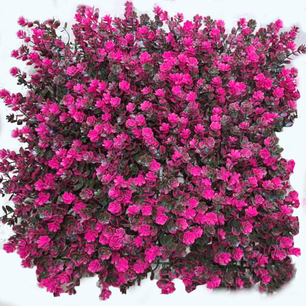گرین وال طرح شمشاد رنگ سرخابی